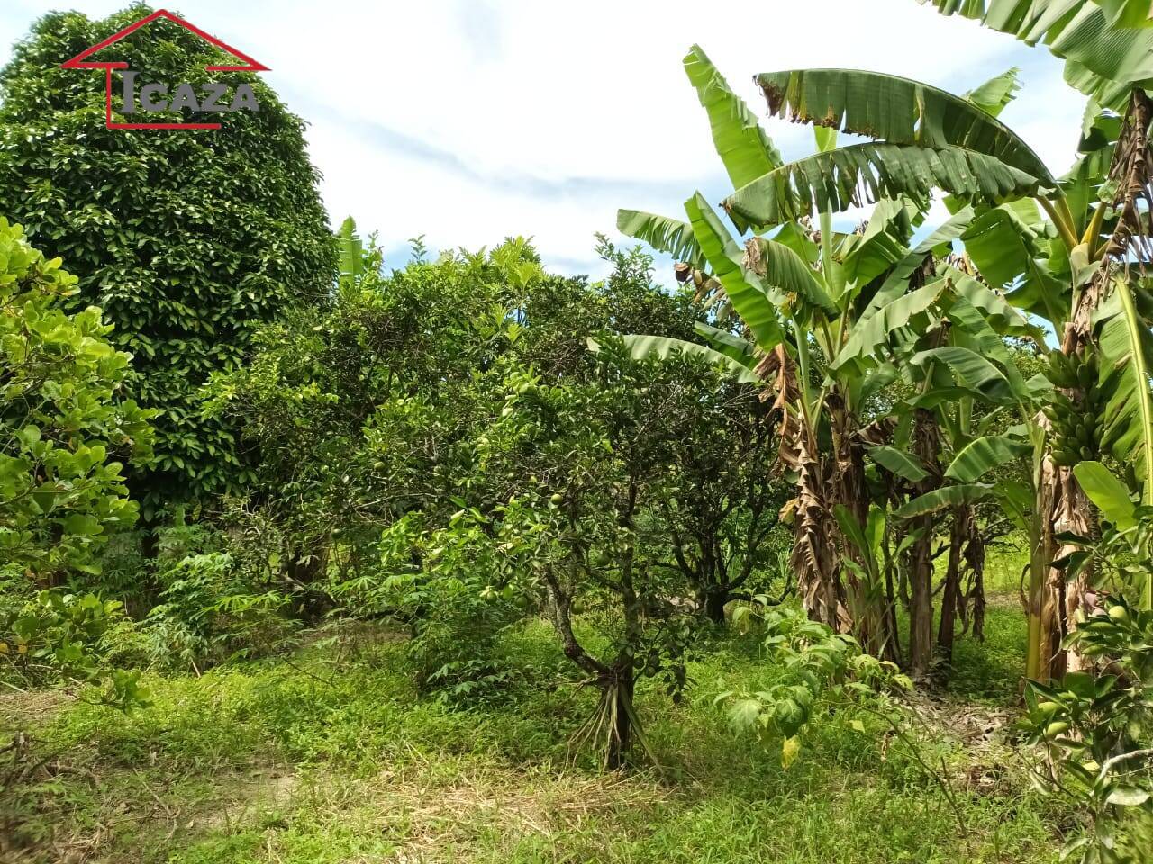 Fazenda à venda com 2 quartos, 108m² - Foto 13